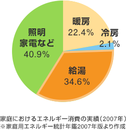 家庭におけるエネルギー消費の実績（2007年）