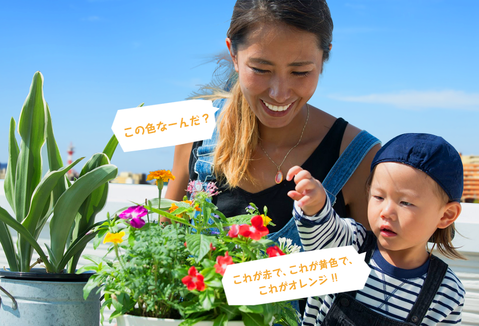 屋外でもプライバシー確保