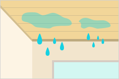 雨漏りの被害
