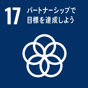 アイコン17 パートナーシップで目標を達成しよう